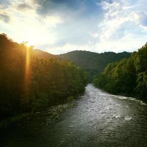 Meet your Posher, Anne